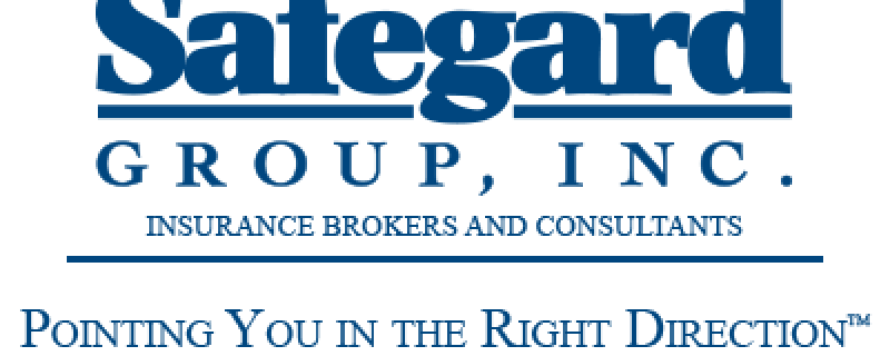 The Safegard Group The Safegard Group Incthe Safegard Group Inc 3211